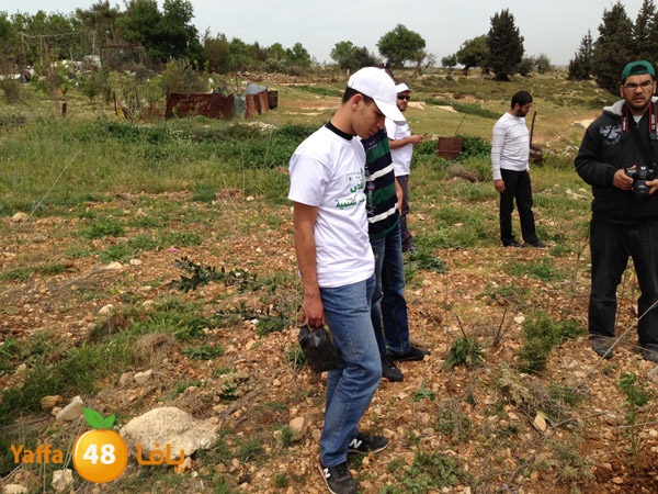 ludandyaffazaitoon (34).JPG